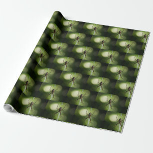 Papel De Presente Aranha de jardim amarela