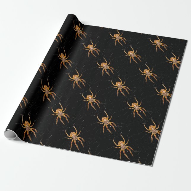 Papel De Presente aranha-macro-insetos colomia (Desenrolado)