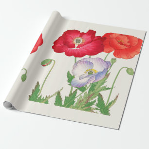 Papel De Presente Arte Botânica Vintage Japonesa Papoula 1917