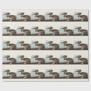 Papel De Presente Arte Costeira de Pássaros do Pelicano Marrom Audub