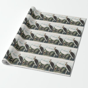 Papel De Presente Arte da Natureza do Íbis Branco Audubon Vintage