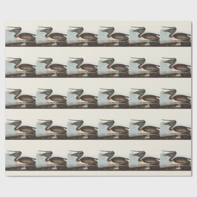 Papel De Presente Arte de Pássaro Costeiro de Pelicano Marrom Audubo (Aberto)