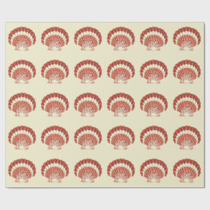 Papel De Presente Arte Náutica Vintage Concha de Vieira Vermelha e B