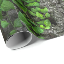 Árvore coberta de vinha