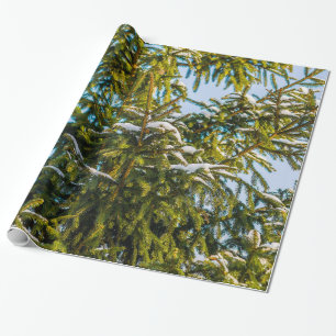 Papel De Presente Árvore de Natal Verde Na Neve