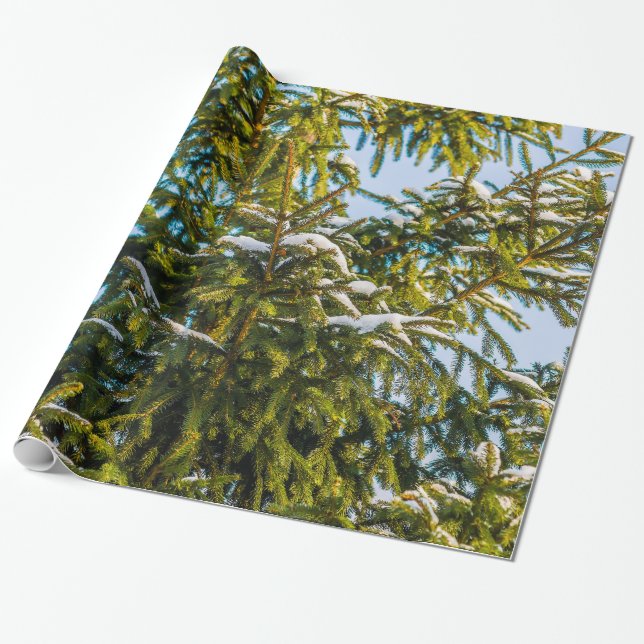 Papel De Presente Árvore de Natal Verde Na Neve (Desenrolado)