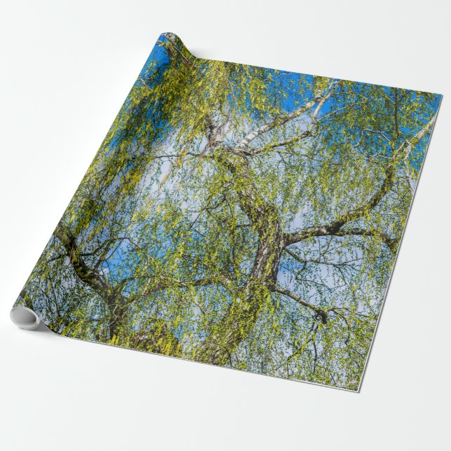 Papel De Presente Árvore de pássaros - Primavera está no ar (Desenrolado)