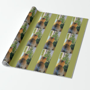 Papel De Presente Árvore do gato e de Natal