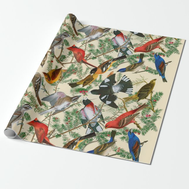 Papel De Presente "Árvore do giftwrap do Grosbeak" (pássaros) (Desenrolado)
