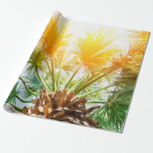 Papel De Presente Árvore palmeira brilhante fundo de verão. tropical