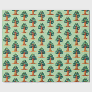 Papel De Presente árvore Sequoiadendron giganteum