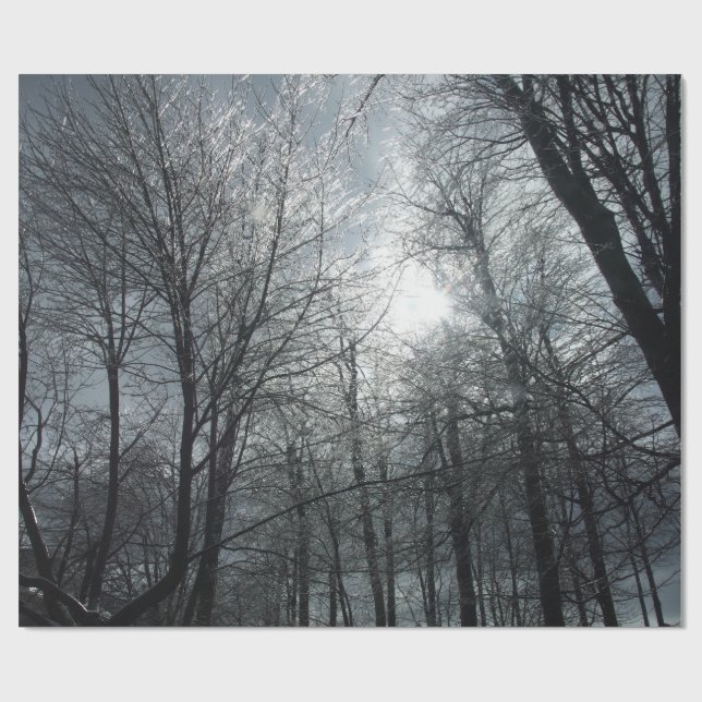 Papel De Presente Árvores cobertas de gelo soltas (Aberto)