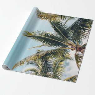 Papel De Presente Árvores de coco verdes