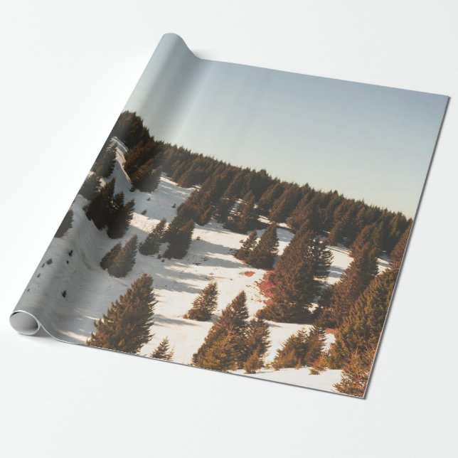 PAPEL DE PRESENTE ÁRVORES DE PINOS VERDES (Desenrolado)