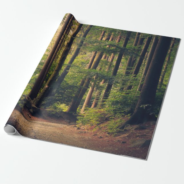 PAPEL DE PRESENTE ÁRVORES FLORESTAIS (Desenrolado)