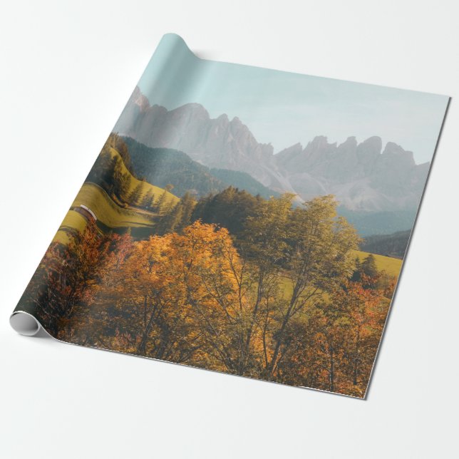 PAPEL DE PRESENTE ÁRVORES VERDES E CAMPO DE GRAMAS (Desenrolado)