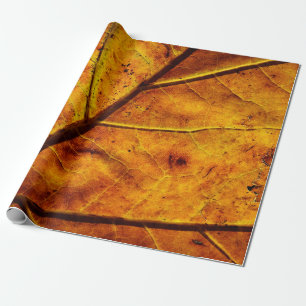 Papel De Presente As veias de folha de folhas caem na textura