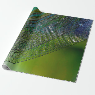 Papel De Presente Asas de dragonfly inseto próximo à natureza