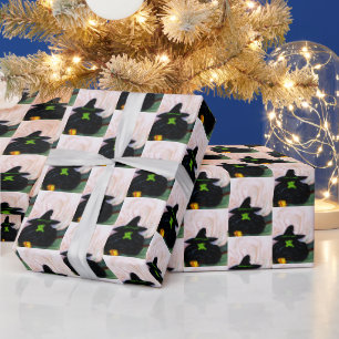 PAPEL DE PRESENTE ASSISTENTE DE OZ MELTING WITCH  