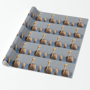 Papel De Presente Atitude do pelicano
