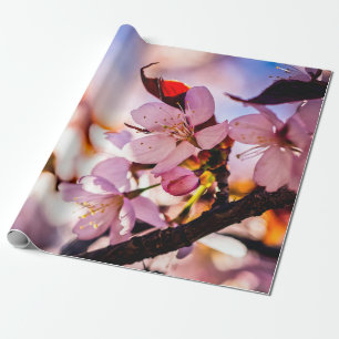 Papel De Presente Atordoante Sakura Blossoms