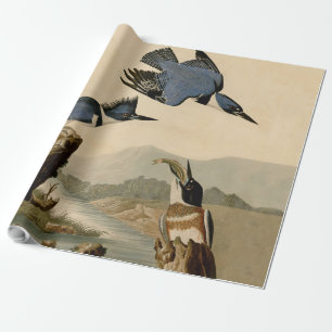 Papel De Presente Audubon Belfisher Kingfisher Wildlife Bird