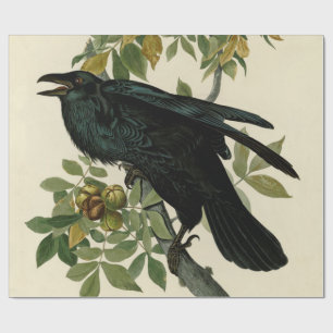 Papel De Presente Audubon Raven Bird Classic Trabalho de arte
