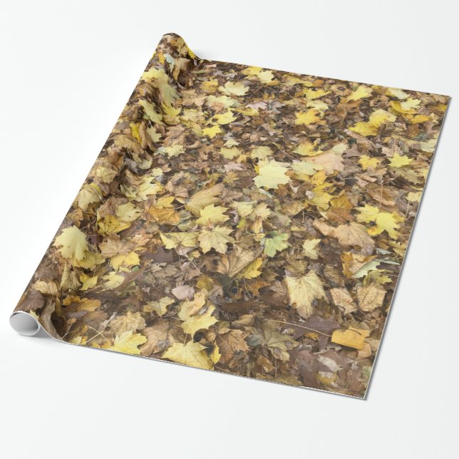 Papel De Presente Autumn Yellow Leaves Collection (Desenrolado)