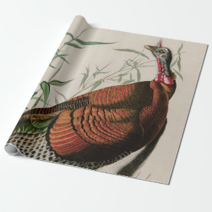 Papel De Presente Aves da Turquia Selvagem da América Impressão Au