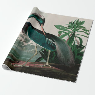 Papel De Presente Aves do Herão da Louisiana da Impressão de Audub