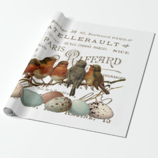 Papel De Presente Aves e Ovos Vintage Nomes da Cidade Francesa Desap