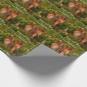 Papel De Presente Baby Chipmunks Animal Art Personalizado