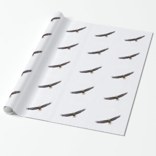 Papel De Presente Bald Eagle em voo