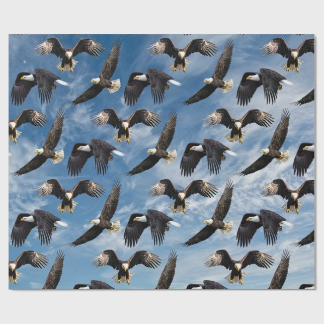 Papel De Presente Bald Eagle Soaring (Aberto)