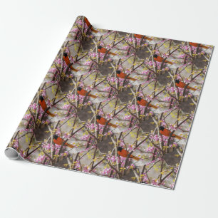 Papel De Presente Baltimore Oriole