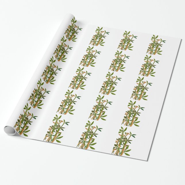 Papel De Presente Bambu verde isolado em fundo branco (Desenrolado)