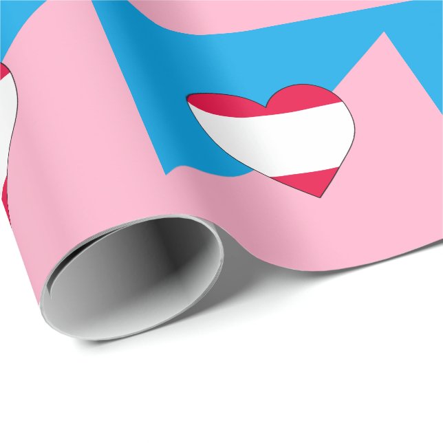 Papel De Presente Bandeira do Orgulho do Age Play (Ponta do rolo)