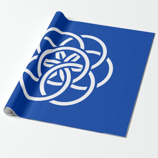 Papel De Presente Bandeira Internacional do Planeta Terra (Desenrolado)