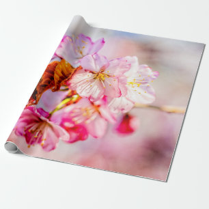 Papel De Presente Bando De Flores De Sakura Rosa