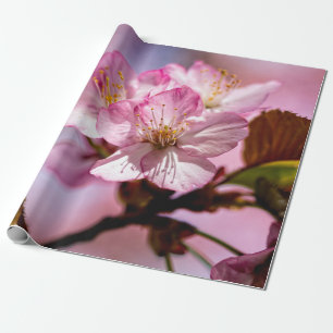 Papel De Presente Bando De Flores Sakura Incríveis De Cores Rosa