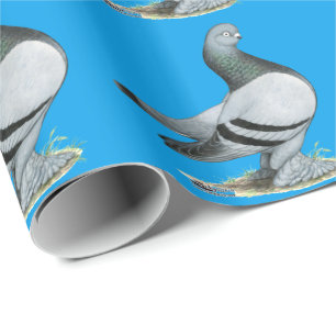 Papel De Presente Bar Azul Berliner Tumbler Pigeon