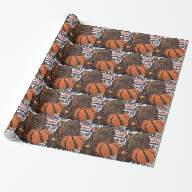 Papel De Presente Basquetebol qualquer um? (Desenrolado)