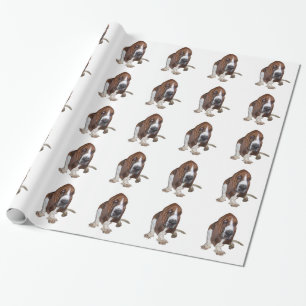 Papel De Presente Basset Hound