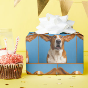 Papel De Presente Basset Hound Surpreso