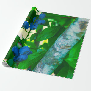 Papel De Presente Bastante Vegetal