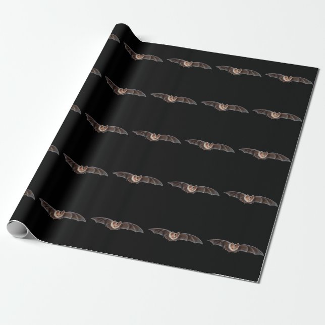 Papel De Presente Bat Pipistrellus pipistrellus Ilustração Preta (Desenrolado)