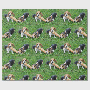 Papel De Presente Beagle Adorável Puppies Tug Da Guerra