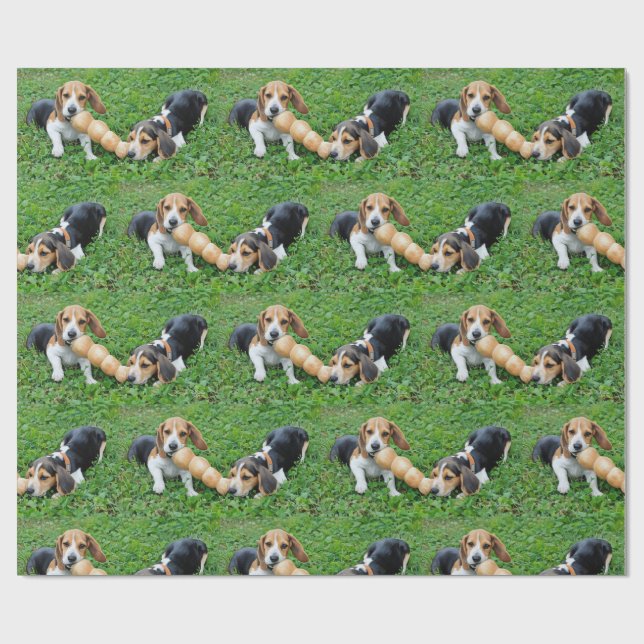 Papel De Presente Beagle Adorável Puppies Tug Da Guerra (Aberto)