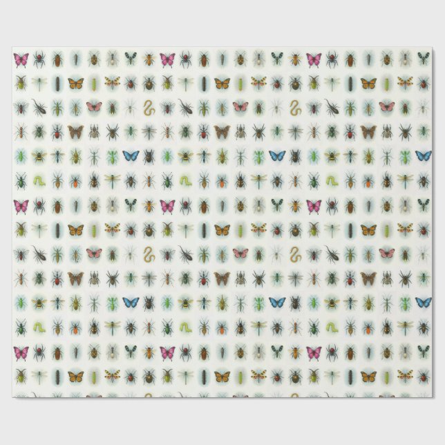 Papel De Presente Beautiful insect collection watercolor style bugs  (Aberto)