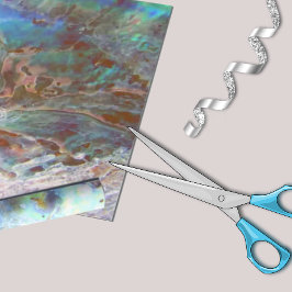 Papel De Presente Beautiful Paua Black Abalone New Zealand Shell